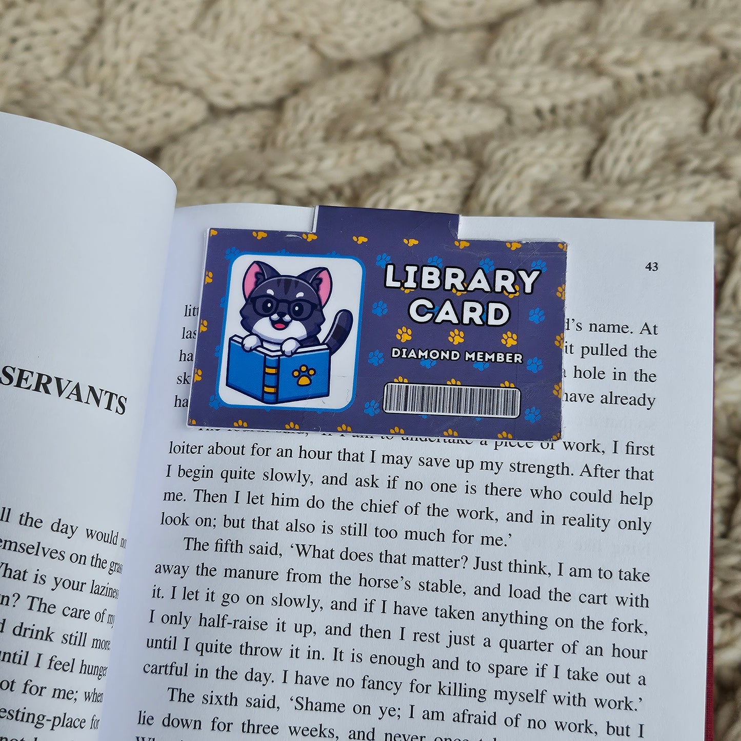 Library Card Critters Magnetic Bookmarks